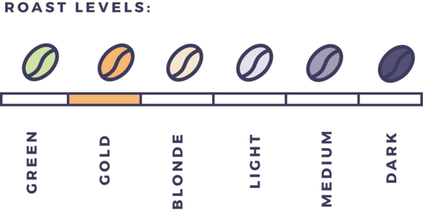 This photo shows roasting levels of coffee. 